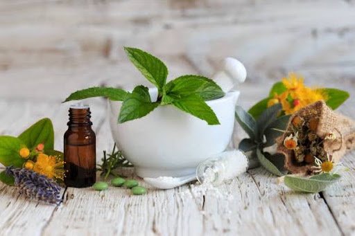 European Folk Medicine: Exploring Herbal Cures Across Cultures