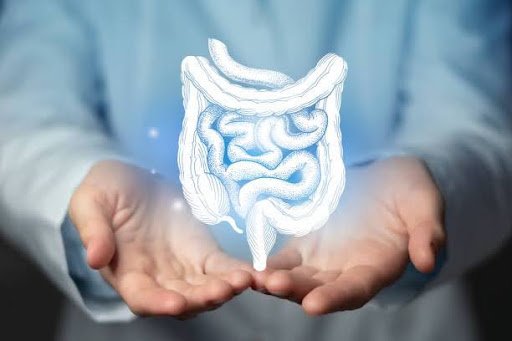 Additional determinants are the quality of sleep, exercise, medication, and hydration. All these determine the efficiency of your gastrointestinal health on a daily basis.