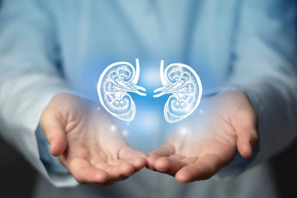 Chronic Kidney Disease, also known as CKD, is a condition where the kidneys gradually lose their ability to filter waste from the blood.