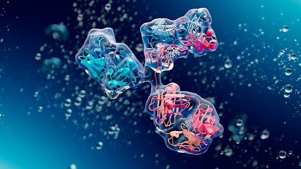 Biomarker Discovery