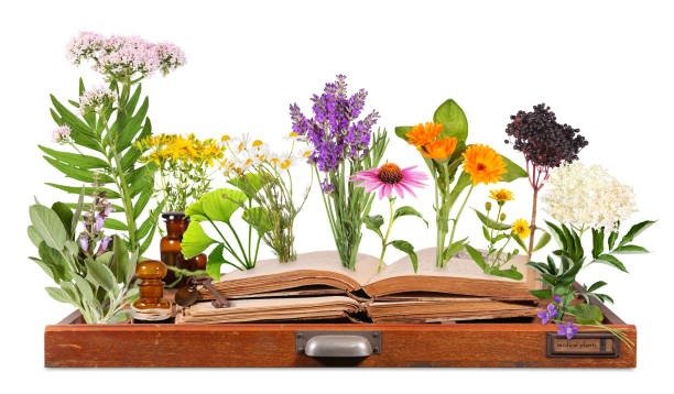 Biodynamic Herbology