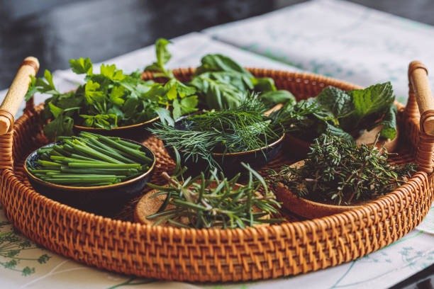 Organic Farming & Herbalism